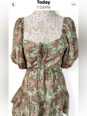 Floral Lace-Yoke Puff Sleeve Mini Dress in Mint and Rose